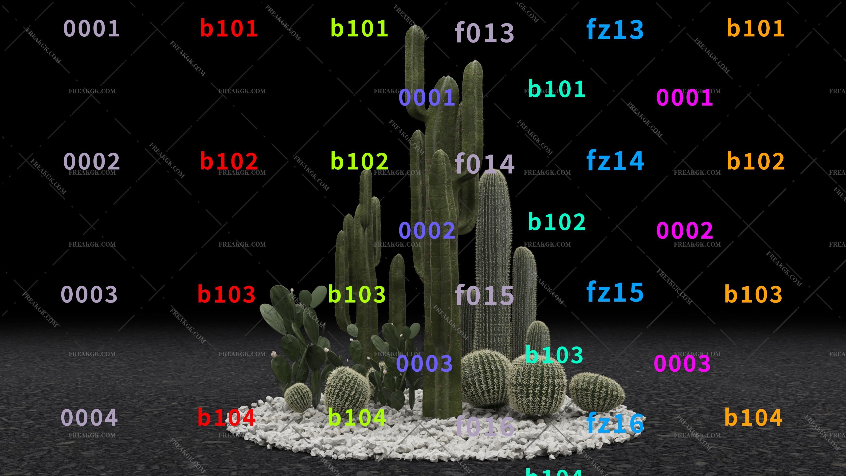 仙人掌 仙人掌植物  3D模型