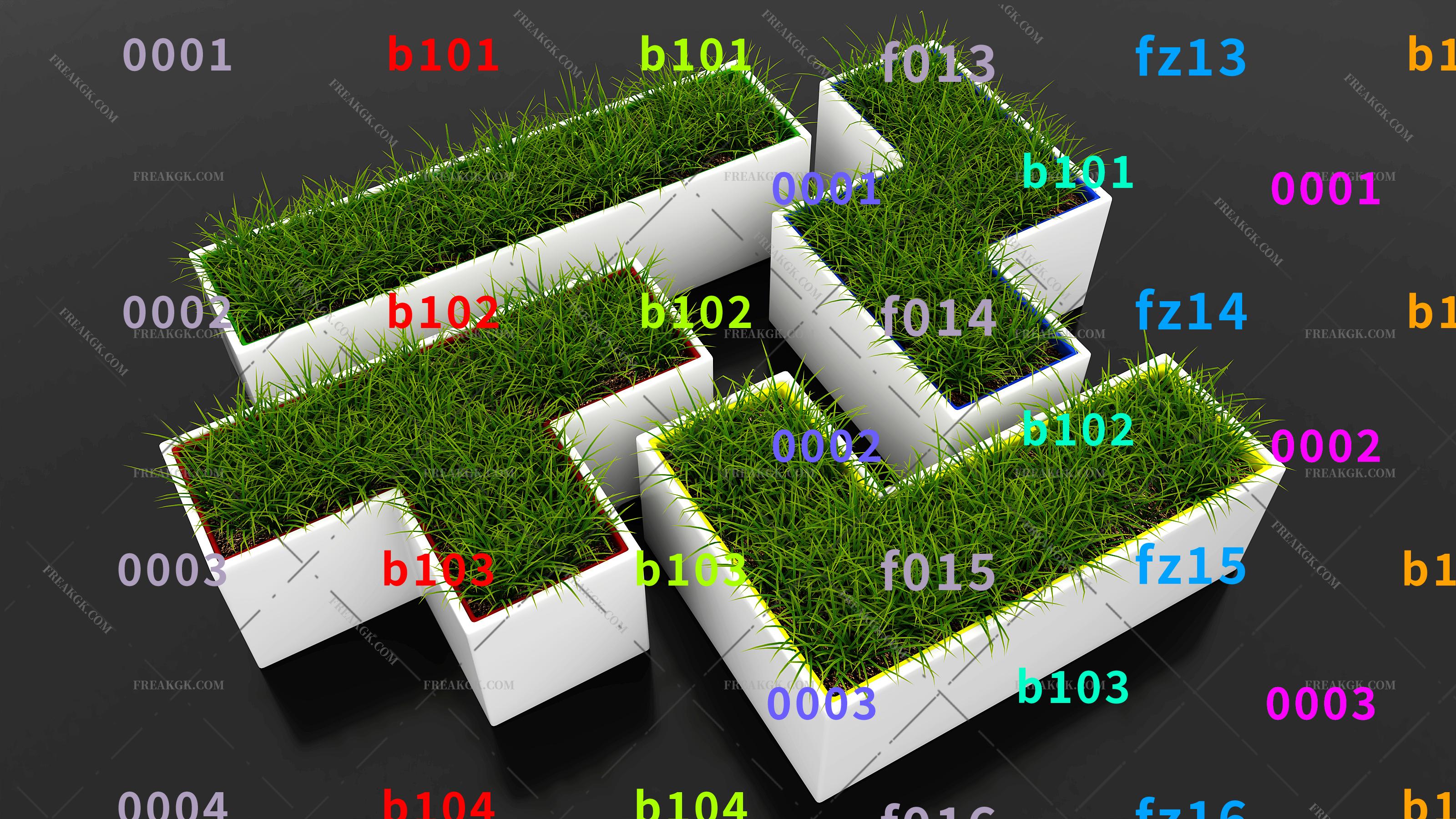 草台 盆栽 绿植盆栽 植物盆景 