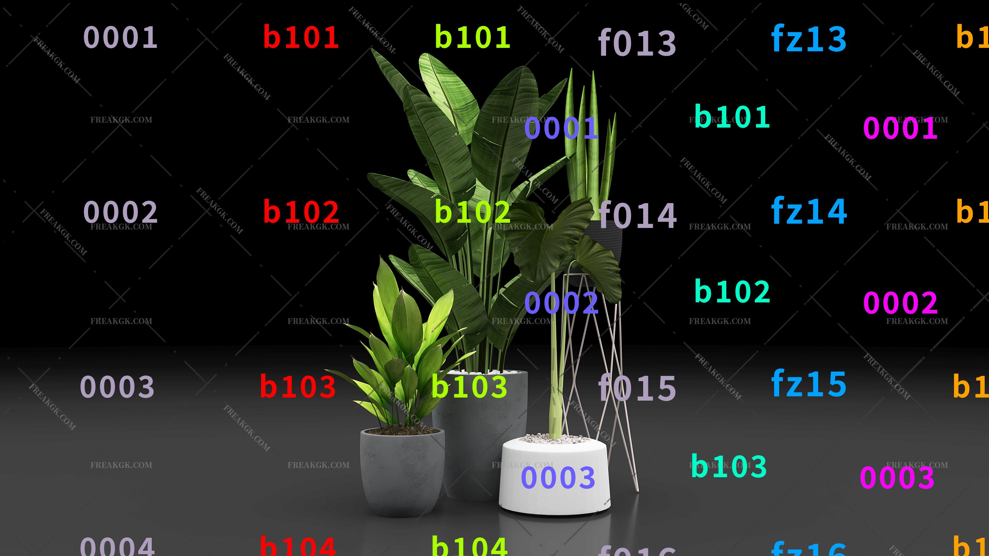 盆栽 植物盆栽组合3D模型