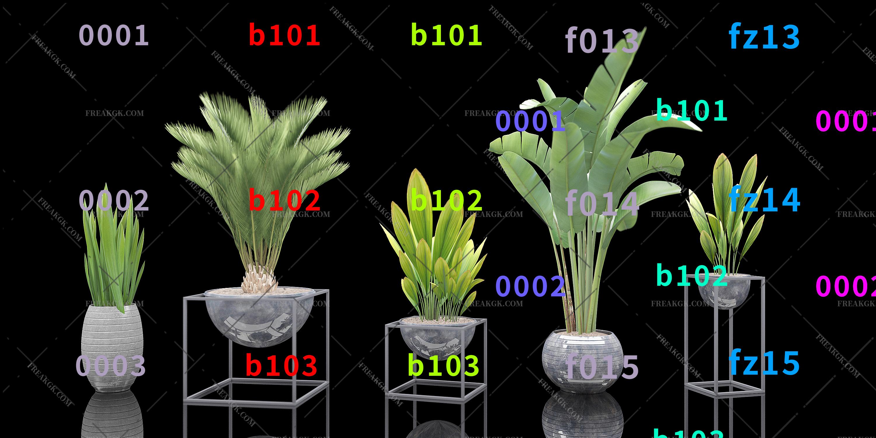 盆栽 植物盆栽组合3D模型