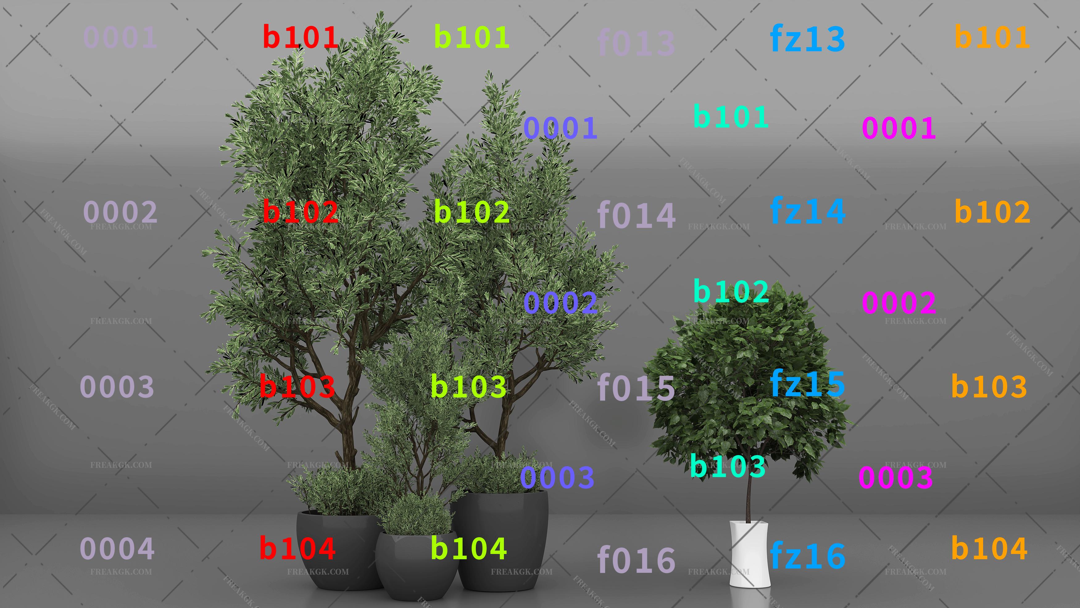 盆栽 绿植盆栽 植物盆景 植物组合 